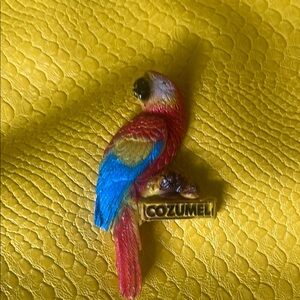 💐3/$10💐Colorful Parrot Cozumel Souvenir Magnet